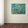 Trademark Fine Art Vincent van Gogh 'Almond Branches In Bloom 1890' Canvas Art, 24x32 BL01313-C2432GG
